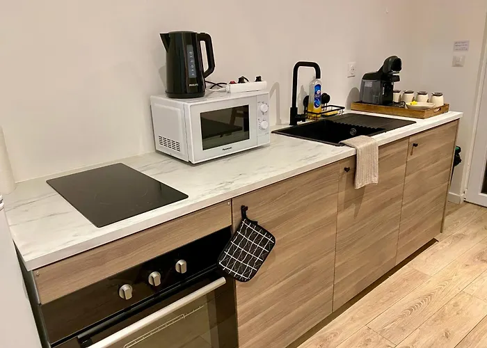 Acacia Terrasse*proche Centre-ville Et Chu